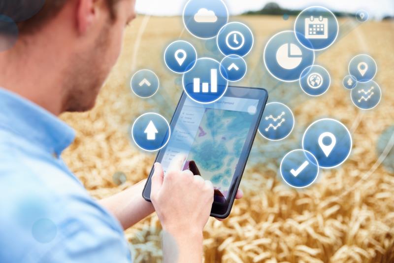 Where is the growth in the UK Agricultural, Food & Rural Enterprise sector?